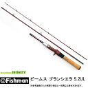 ●Fishman フィッシュマン　Beams ビームス blancsierra ブランシエラ 5.2UL (FB-B52UL) 【まとめ送料割】