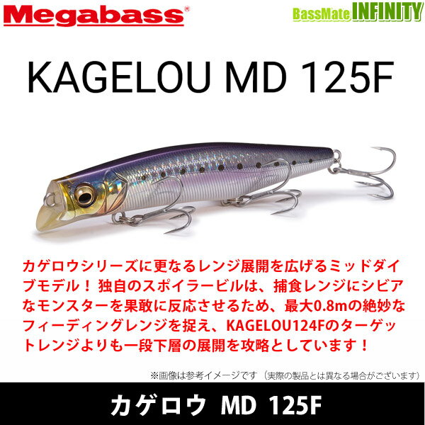 ダイワ(Daiwa)　スティーズスピナーベイト 1/4oz DW ホワイトチャート　【釣具　釣り具】