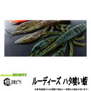 ●ルーディーズ ハタ喰い蝦(エビ) 2.5インチ 【メール便配送可】 【まとめ送料割】(4)