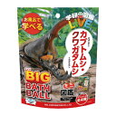 ノルコーポレーション 学研の図鑑ライブ バスボール ビッグ カブトムシ クワガタムシ マスコット入り 香り付き GKN-8-01(3)