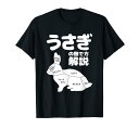 うさぎの撫で方解説 ウサギ好き うさぎ好き うさぎの飼い主 ウサギ飼い おもしろ うさぎ 兎 Tシャツ