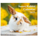 アクティブコーポレーション 2025年 カレンダー 壁掛け Sweet Rabbit 25ACL-36 2025年 1月始まり