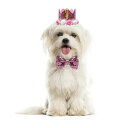 YBGGJO ペット用誕生日帽子 3点セット 犬 猫用 バースデー帽子 蝶ネクタイ 王冠 数字付き 飾り付け 記念日 誕生日 パーティー飾り ペット 帽子