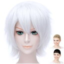 CaseEden コスプレ ウィッグ ショート 30cm 耐熱 シルバー ホワイトシルバー 銀白色 ウィッグネット2個セット