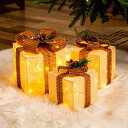 MORGEN SKY クリスマス 飾り ギフトボックス 3個セット ツリー ライト 屋外 室内 LED イルミネーション ストリングライト 電池式 クスミニ電球...