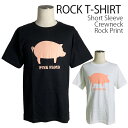 Pink Floyd Tシャツ ピンク・フロイド ロックTシ