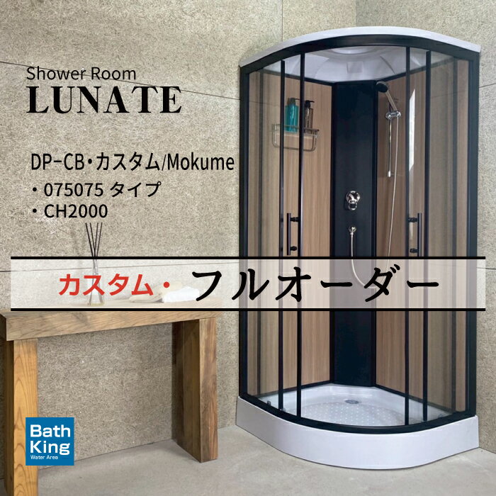 DP-C01B シャワーユニット シャワー ルーム ユニット 置くだけ 設置 ブラック 075075 浴槽なし シャワー室 置き型 おしゃれ スタイリッシュ お風呂 シャワーBOX 組立式 バスルーム タオルハンガー バスボトルラック 節水シャワー 幅905×奥行905×高さ2120mm