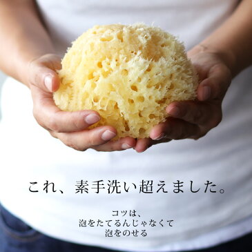 天然海綿 ベリーニ (ハニコム種)高品質スポンジ【ボディスポンジ ボディタオル ボディウォッシュタオル 浴用タオル 泡立ち 体洗い 柔らかい やわらかめ 高級 アトピー 低刺激】【あす楽】【送料無料】