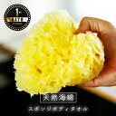 天然海綿「ベリーニ」(ハニコム種)高品質スポンジ ボディスポンジ 天然 バススポンジ 柔らかい 肌荒れ 乾燥肌 ボディタオル アトピー 肌トラブル 海綿スポンジ...