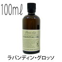 フレーバーライフ(エッセンシャルオイル/アロマオイル/精油)ラバンディン・グロッソ(100ml)【エッセンス リラックス リフレッシュ 高品質 フレグランス フレグランスオイル 入浴剤 お風呂 バスタイム 半身浴 アロマバス アロマ バス】