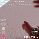 \楽天1位/【正規店】たためるお風呂マット「パタッとすのこ プラス/NEO」レギュラー90×60【浴室マット 洗い場 浴室内 折りたたみ スリム 省スペース 収...