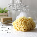 ブラックフライデー/ 《 エーゲ海産 海綿 セット 》 ハニコム種 天然海綿 海綿スポンジ ボディースポンジ フェイス用 顔用 ボディ用 体用 大きいサイズ 敏...