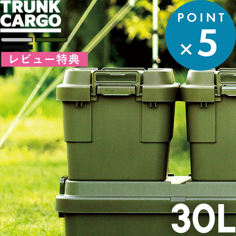 《着後レビューでキッチンタワシ他》 TRUNK CARGO 「 トランクカーゴ TC-30S 」 3 ...