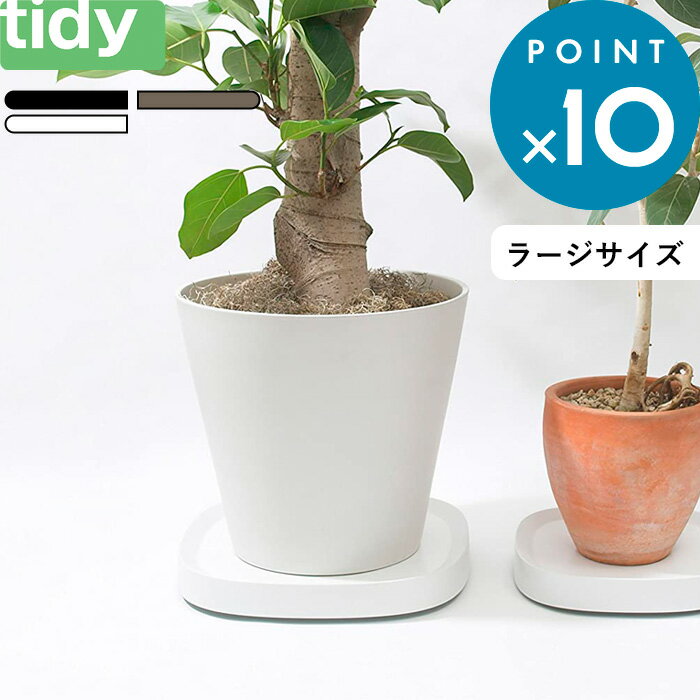 《着後レビューで選べる特典》 tidy 「 Plantable L（プランタブル ラージ） 」 ティ ...