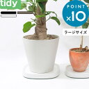 レビュー特典! tidy 《 Plantable L(プランタブル ラージ) 》 ティディ ブラック ブラウン ホワイト キャスター付き 鉢台 台車 鉢皿 受け...