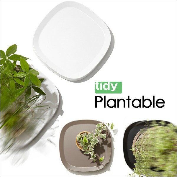 《着後レビューで選べる特典》 tidy 「 Plantable 2個セット 」 ティディ ブラック ブラウン ホワイト キャスター付き 鉢台 鉢皿 受け皿 受皿 トレイ トレー キャスター付き鉢皿 鉢植え台 台車 観葉植物 鉢植え 植木鉢 プランター スタンド プランタブル 2