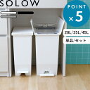 レビュー特典! 分別ゴミ箱 《 ソロウ ペダルオープンツイン 45L 35L 20L 》 SOLOW ごみ箱 ごみ 45リットル 35リットル 20リットル ふ...