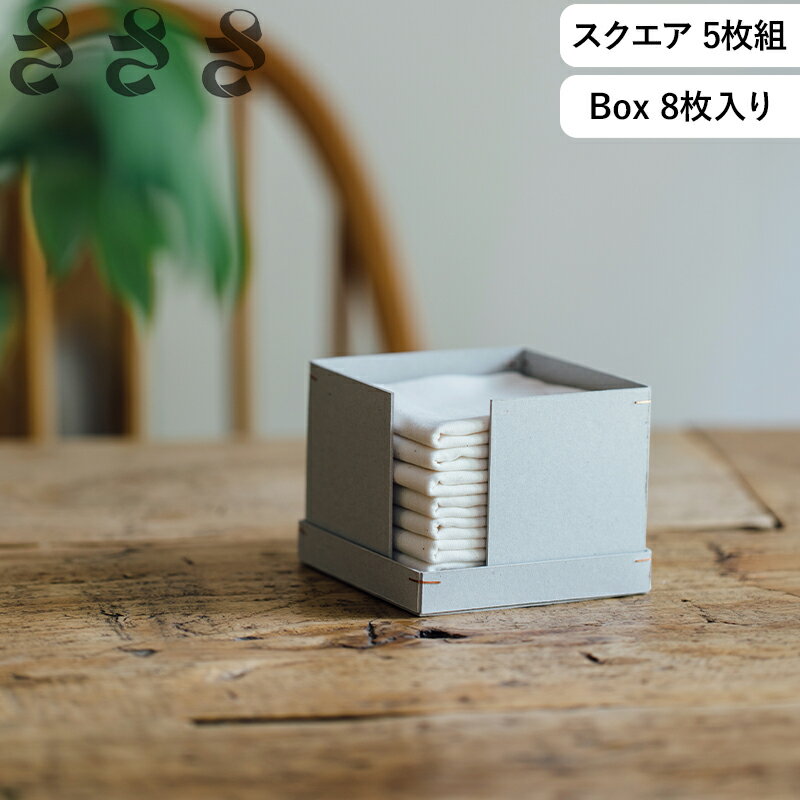 ��ӥ塼��ŵ�� ������ �� �»��������� 5���� / Box 8������ �����Ļ����� �� �ե��� ���å��󥯥��� ������ ������ Ȣ���� ���￡�� �濡�� ����...