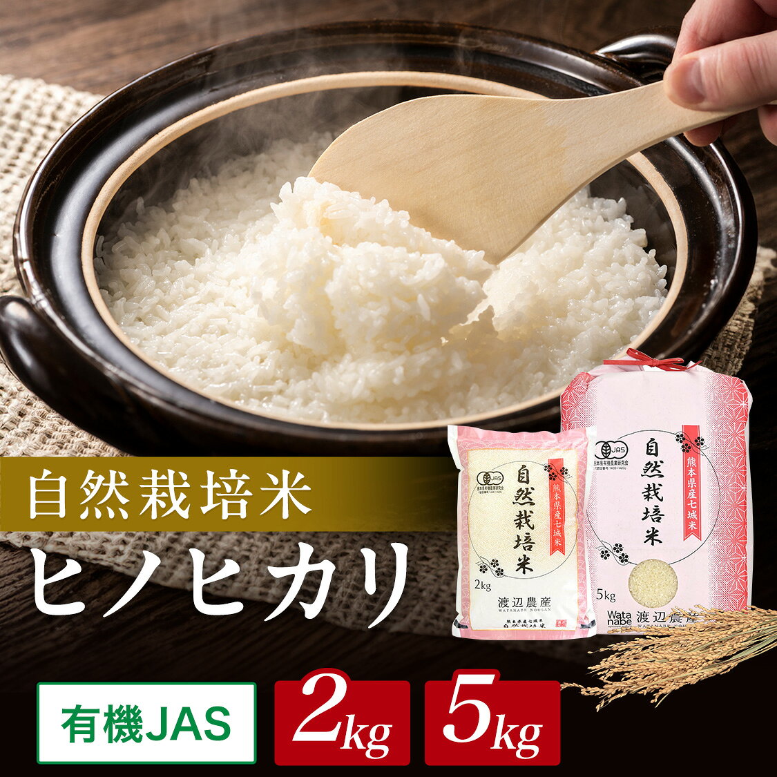 楽天市場】菊池米 ひのひかりの通販