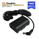 パナソニック DMW-DCC12 / DMW-BLF19 / DMW-BLF19E DCカプラー 1個 互換（ダミーバッテリー） ダミーバッテリー パワーコネクター DMC-GH3 DMC-GH4 DMC-GH3K DMC-GH4K DMC-GH3A DMC-GH3H DMC-GH4H DC-GH5 DC-GH5S DC-GH5M DC-G9