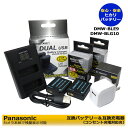 Panasonic DMW-BLE9 / DMW-BLG10 互換 交換用電池 2個 と DUAL 互換USB充電器 1個とACアダプター1個の4点セット ルミックス対応 D-LUX7 / DMC-GF3K / DMC-GF3KBODY / DMC-GF3KEF-K / DMC-GF3KEF-W / DMC-GF3KGK / DMC-GF3KK / DMC-GF3KR (2.1A)