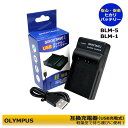 【送料無料】BLM-5 BLM-1 OLYMPUS BLM-1 / BCM-1 互換充電器 E-1 / E-3 / E-30 / E-520 / EVOLT E-300 / EVOLT E-330 / EVOLT E-500 / EVOLT E-510 CAMEDIA C-5060 WideZoom / CAMEDIA C-7070 Wide Zoom / CAMEDIA C-8080 Wide Zoom