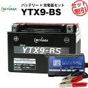 バイクバッテリー充電器 GSユアサYTX9-BS セット 【バイクバッテリー】■■STX9-BS YTR9-BS GTX9-BS FTX9-BSに互換■■ボルティクス スーパーナット【特別割引】スカイウェイブ400 ニンジャ250R CB400 Ninja250R バンディット600 スペイシー125(液入済)