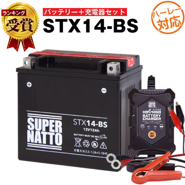 バイクバッテリー充電器+ハーレーSTX14-BS セット■バイクバッテリー■YTX14-BS互換■12V/6V切替 星乃充電器・スーパーナットストリートマジック50、スーパージョグ、ジーツー、ヴェルデ、ストマジ、ジョグアプリオ、ZZ(液入済)