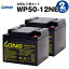 WP50-12NE【お得!2個セット】(産業用鉛蓄電池)【新品】■■LONG【長寿命・保証書付き】室内使用可・12V電源機器等に【サイクルバッテリー】の画像