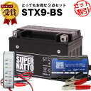 バイクバッテリー充電器 バッテリー電圧テスター(12V用) STX9-BS セット■バイクバッテリー■YTX9-BS互換■ボルティクス スーパーナット■スカイウェイブ400 ニンジャ250R CB400 Ninja250R バンディット600 スペイシー125(液入済)