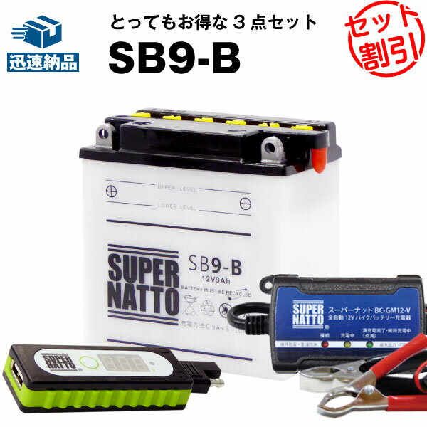 Хǥޥ۽ USB㡼㡼+Ŵ+SB9-B åȢХХåƥ꡼YB9-B 12N9-4B-1 GM9Z-4B BX9-4B FB9-Bߴ ѡʥåȽŴ(12V)()