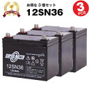 楽天バッテリーストア.com12SN36【お得！3個セット】■純正品と完全互換【安心の動作確認済み製品】■SEB35対応■バッテリー溶接機に対応■スーパーナット【あす楽】【安心保証付き】【新品 産業用鉛電池】