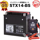 バイクバッテリー充電器+STX14-BS セット■バイクバッテリー■YTX14-BS互換■12V/6V切替 星乃充電器・スーパーナットXJR、シャドウ、スカイウェイブ、SV1000、GSX、バルカン、ZZ-R、ZRX1200R、ZX-12R、V-ROD、Vロッド(液入済)