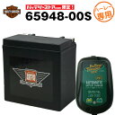 バッテリーテンダー800 充電器＋AGMバッテリー 65948-00S セット■バイクバッテリー■YTX14-BS 65948-00B 互換【お得な2点セット】【スーパーナット】【Deltran】【新品】