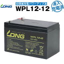 WPL12-12【WP12-12上位グレード】・初期補充電済（産業用鉛蓄電池）【サイクルバッテリー】NP12-12互換【新品】■■LONG【長寿命・保証書付き】UPS 無停電電源装置 各種通信機器 防災 防犯 システム機器 など対応