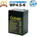 WP4.5-6 初期補充電済 （産業用鉛蓄電池）【サイクルバッテリー】 【新品】■■LONG【長寿命 保証書付き】電動ポケバイなど対応