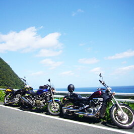 ハーレー専用バッテリーSTX20-BS【65991-82互換】■65991-82A65991-82B65991-75Cに互換■【100%交換保証】【今だけ!使用済みバッテリー回収無料】【最速納品】スーパーナットハーレーバッテリー