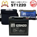 batterystore:10011798