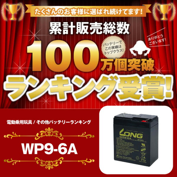 WP9-6A（産業用鉛蓄電池）【サイクルバッテリー】【新品】6V 9Ah■■LONG【長寿命・保証書付き】電動乗用玩具 防災 防犯 システム機器 UPS(無停電電源装置) など対応