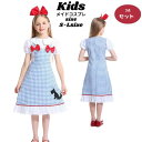 キッズ ワンピース ス 田園風 メイド メイド 仮装 アリス 民族衣装 ハロウィン 子供 仮装 童話 こども なりきり クラシック こすぷれ 子供用 可愛い 大...