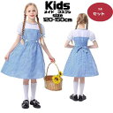 ハロウィン キッズ 衣装 メイド 子供 仮装 こども なりきり ハロウィンコスチューム コス 童話 なりきリ 女の子 ハロウィン衣装 ハロウィーン 子供服 キッズドレス 可愛いコスプレ子供用 キッズ スイス 民族衣装 子供 イベント cosplay 舞台衣装120 130 140 150