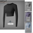 ヨガウェア トップス スポーツウェア レディース ヨガ 長袖 Tシャツ トップス トレンド ウォーキング ランニング ジム ダンス 大きいサイズ ヨガウェア 伸縮性 ランニング 薄手 運動 上下セット ジムウェア フィットネスウェア スポーツ SMLXL2XL