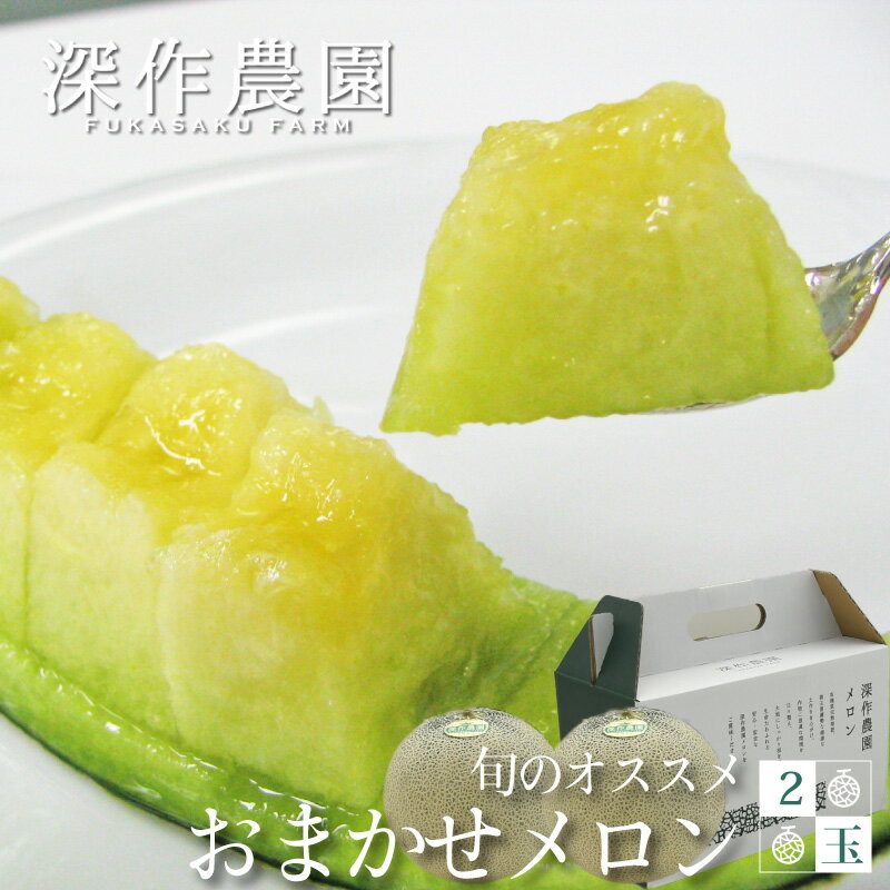 メロン 茨城 旬のオススメ おまかせ メロン 2玉（約1.2kg×2玉) お中元 御中元 ギフト 深作農園