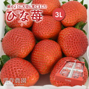 いちご ギフト ひな苺 3L×4パック イチゴ 大粒 贈答 新鮮 苺農家 深作農園