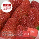 いちご イチゴ 苺 品種指定なし 3L×2パック いちご ギフト 大粒 ストロベリー 贈答 新鮮 深作農園