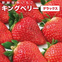 いちご ギフト キングベリー デラックス 大粒 イチゴ ストロベリー 高級 苺農園 深作農園