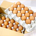 卵 世界大会受賞 たまご 30個入り 生卵 赤玉鶏の王者ボリスブラウンのたまご 卵焼き 玉子焼き 鍋 すき焼き チャーハン 炒飯 うどん おでん たまごスープ にも 最適