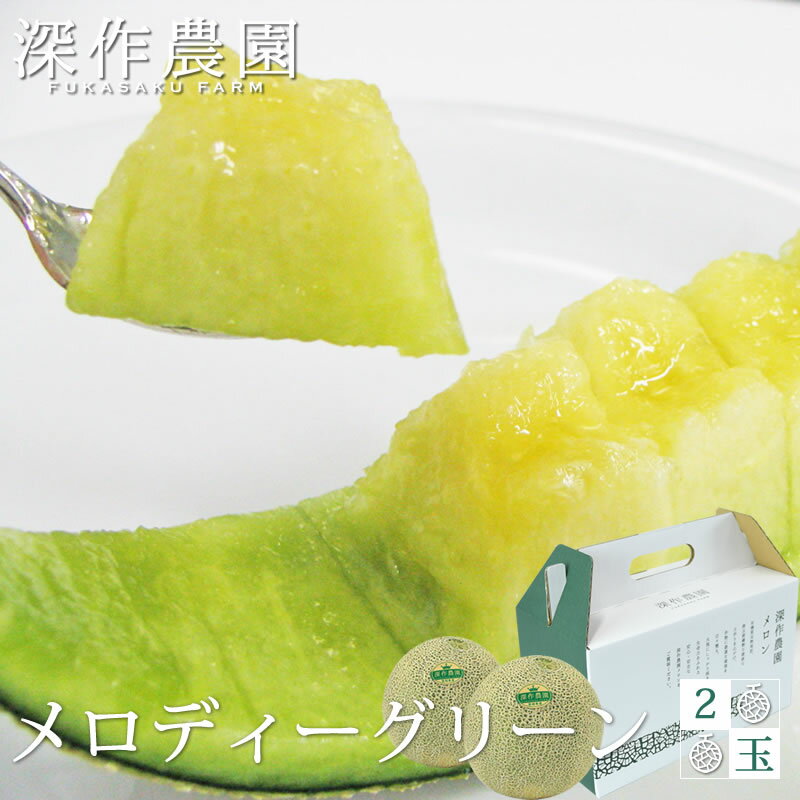 メロン 茨城 メロディーグリーン 2玉 約1.2kg 2玉 お中元 御中元 ギフト 深作農園