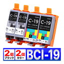 BCI-19 互換 インク カートリッジ PIXUS iP110 iP100 TR153 Canon キャノン ブラック2個 カラー2個