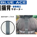 【BLUE ACE 猫背 姿勢矯正 サポーター】姿勢 矯正 猫背バンド サポーター ケガ 予防 仕事 パソコン 肩こり解消 現場仕事 作業 日常業務 育児 スポーツ 筋トレ ゴルフ フリーサイズ 男女兼用 整形外科 整骨院
